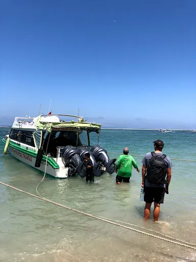 Scoot Fast Cruises 3