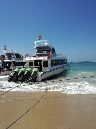 Scoot Fast Cruises 4