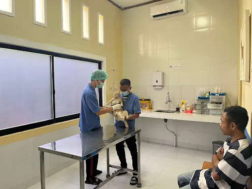 Bali Veterinary Clinic Sanur - BVC Sanur 1