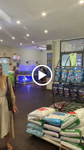 Bali Reef Aquarium 1