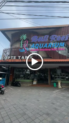 Bali Reef Aquarium 3