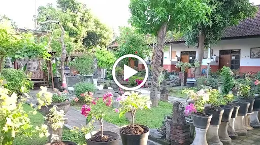 Tjana Homestay Denpasar 1