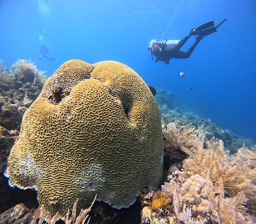 Dune Atlantis Bali 3