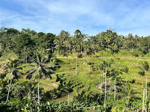 Bali Full Day Tour 4
