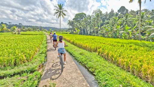 Ubud Village Cycling