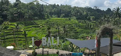 Ubud Village Cycling 3