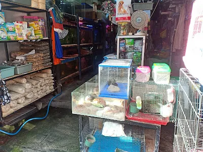 Satria Bird Market 2