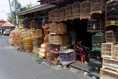 Satria Bird Market 4