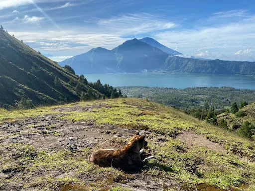 Bagus Bali Sunrise Trekking 3