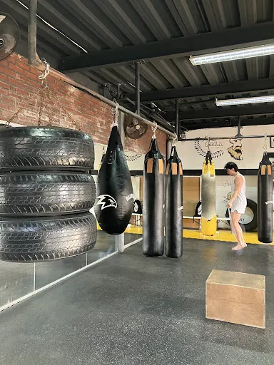 Daily Gym Bali 2