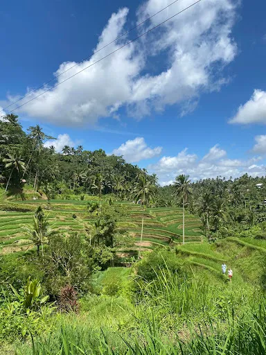 Putu Bali Driver - Tour Services 3