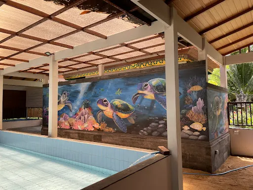 Sea Turtle village 1