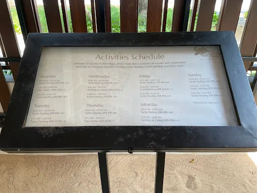 Sea Turtle village 4
