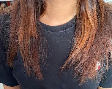 nyky salon 1