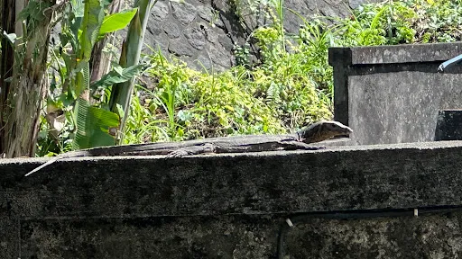 Bali Trip and Stay 3