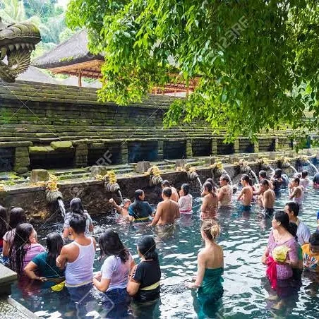 Bali Trans You 1
