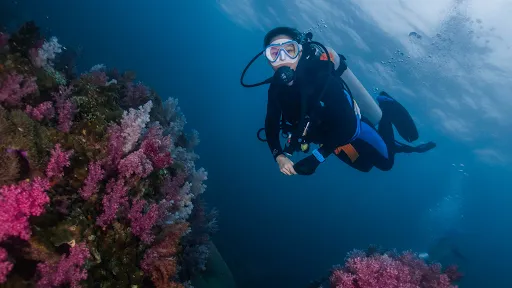 Alpha World Diving 2