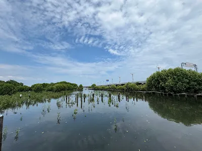 Taman Hutan Raya (Tahura) Ngurah Rai 1