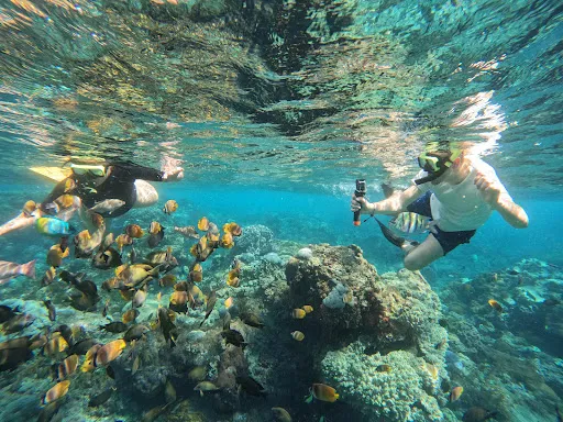 Bali Tour Partner 4