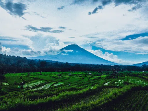Adimelali Bali 2
