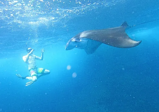 BALI SNORKELING TOUR 1