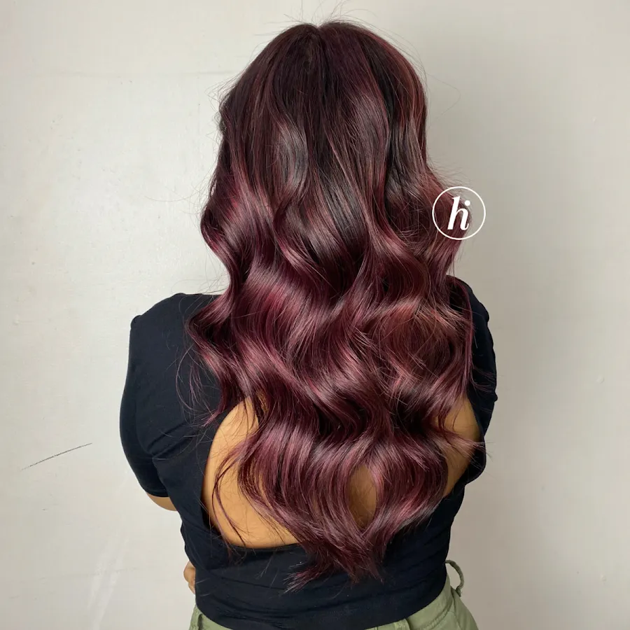 Hair ID Studio 2