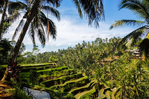 Archipel 360 agence locale Bali 1