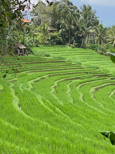 Archipel 360 agence locale Bali 4