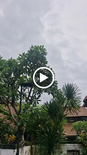Bebek Cottage Sanur 2