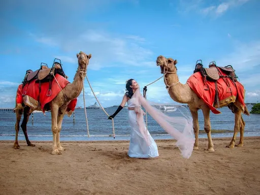 Dream Island Bali Beach Club 2