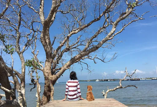 Dream Island Bali Beach Club 4