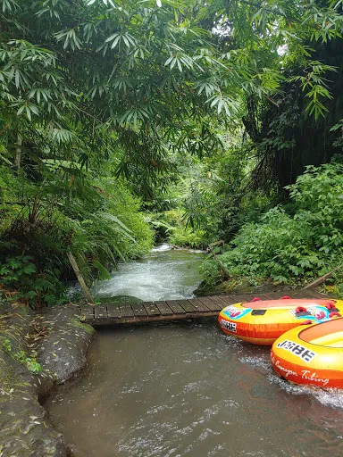Bali Quad Discovery Tours