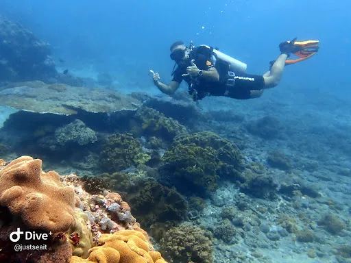 S.E.A. Diving Bali Sanur 1