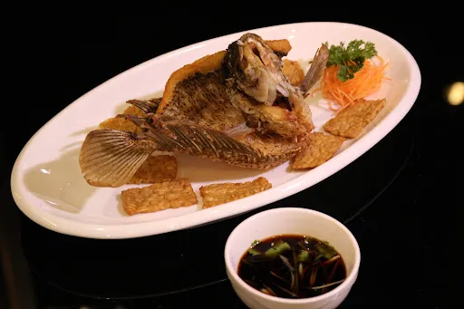 Mega Seafood 1
