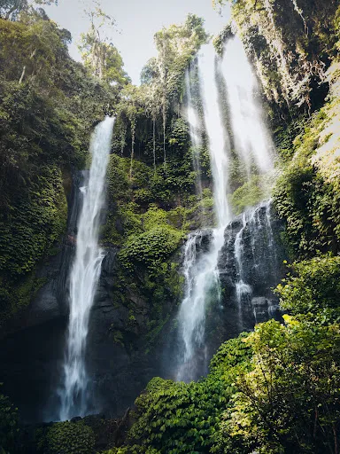MyBaliTrips.com 4