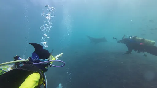 Ena Dive Center & Marine Adventures 1