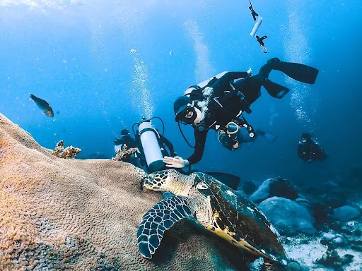 Exotis Bali Diving 2