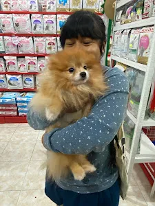 Estimo Pet House Hang Tuah 2
