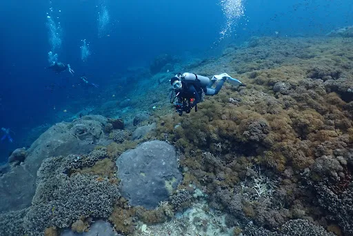 Ocean Gravity Dive Center Bali 3