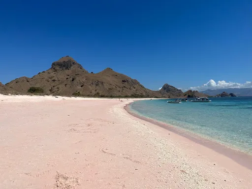 NICKTOURS 2