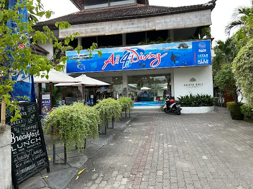 All 4 Diving Bali 1