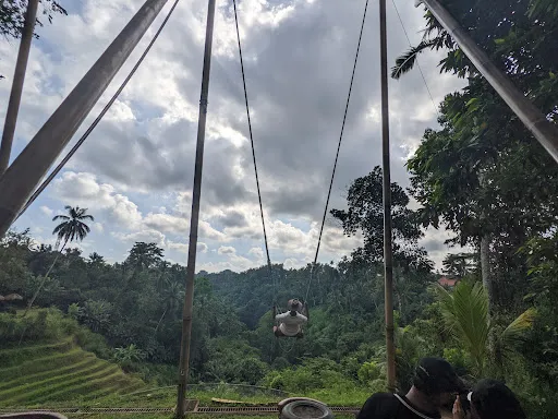 Driver in Sanur Supernova 3