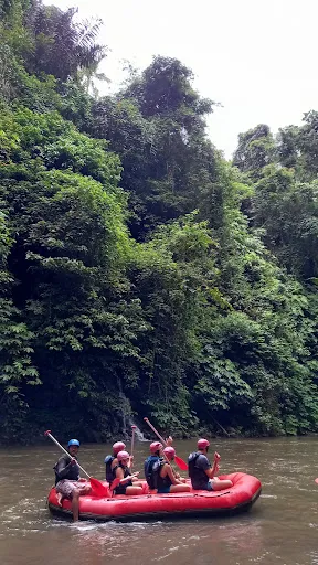 Driver in Sanur Supernova 4