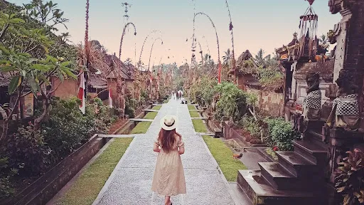 Ubud Tour ( Day Trip, Airport & Hotel Transfer ) 1