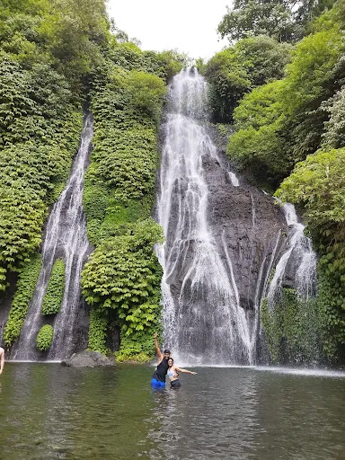 Ubud Tour ( Day Trip, Airport & Hotel Transfer ) 2