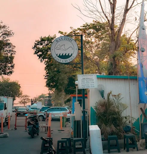 RAY FISH FAST CRUISES 2