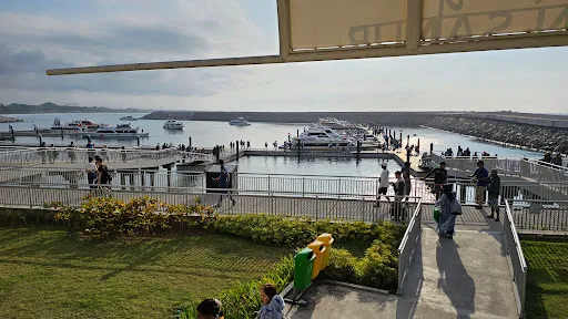 RAY FISH FAST CRUISES 3