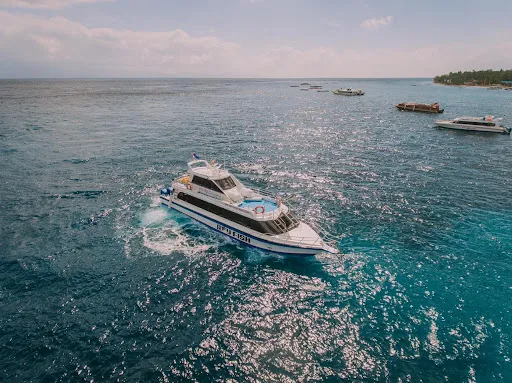 RAY FISH FAST CRUISES 4