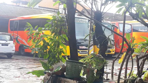 BAGUS Bali Bus Tours & Transport Services 2