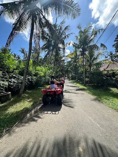 Made in Bali - Official Bali Driver Tour Guide 2